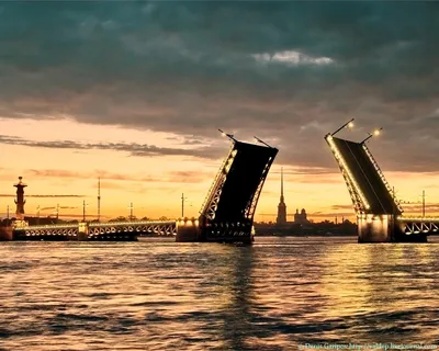 Дворцовый мост санкт петербург - 66 фото