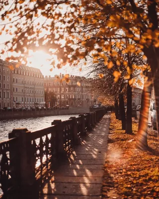 Осенний Петербург - 77 фото