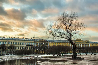 ночной Питер :: Иван Синицарь – Социальная сеть ФотоКто