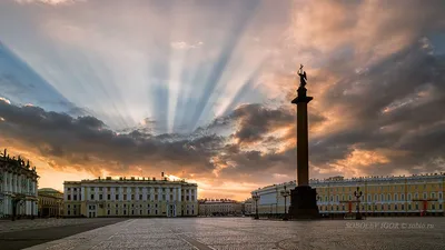 ЖЁЛТЫЙ ДОЖДЕВИК \"Лето Питер Плащ и Свитер\"(чехол в подарок)