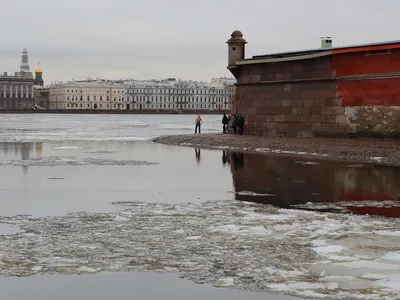 Санкт-Петербург Питер - Новости - 📆На календаре 6 марта, на часах - 9:33  Погода в Питере на сегодня: ☁️Утром: −9…−4 🌨️Днём −2…−1 🌨️Вечером −2…−1  ☁️Ночью −3…0 📷kvant_man | Facebook