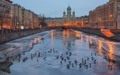 Погода в СПб: весна в марте возьмет морозный реванш за теплый февраль –  EG.RU – Погода. Прогноз погоды. Погода СПб. Погода на март 2020 СПб. Погода  на 14 дней. Весна погода СПб.