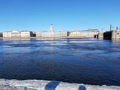 Куда сходить 8 марта в Петербурге?