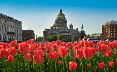 Фотосессия в Санкт-Петербурге в марте | Места и идеи — Фотостудия SF