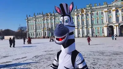 Когда лучше ехать отдыхать в Санкт-Петербург? — Тур-календарь на все сезоны  | Санкт-Петербург Центр