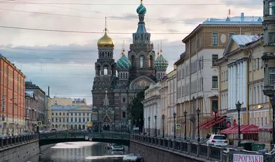 МЧС предупреждает о метели 8 марта в Петербурге