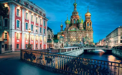 Последние новости в Санкт-Петербурге на 4 марта 2022 года: арест  руководителя «Петростроя» и 10 тонн цветов перед 8 марта - KP.RU