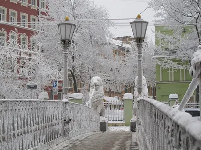 Фотографии Петербурга в снегу: скачать бесплатно jpg или png