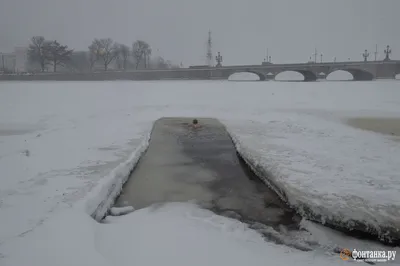 Фотографии снежного Питербурга: скачать бесплатно в хорошем качестве