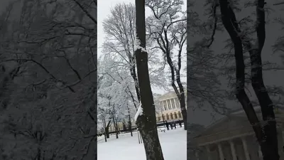 Фотографии Петербурга в снегу: скачать бесплатно и в хорошем качестве