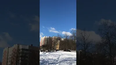 Фотографии снежного Питербурга: скачать бесплатно и использовать как фоны