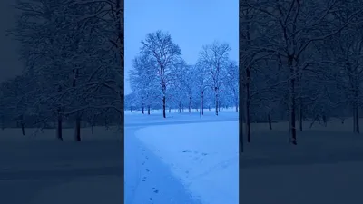 Снег в Петербурге: уникальные картинки в формате jpg, png или webp - скачайте бесплатно
