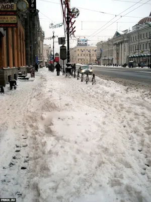 Снег в Петербурге: бесплатные фото в хорошем качестве