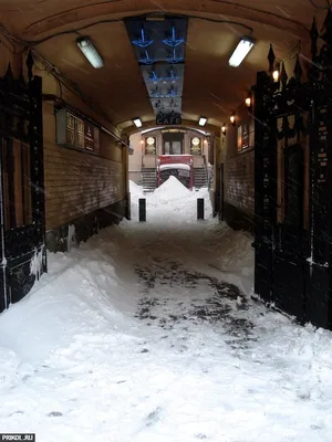 Фотографии снежного Петербурга: скачать в формате webp
