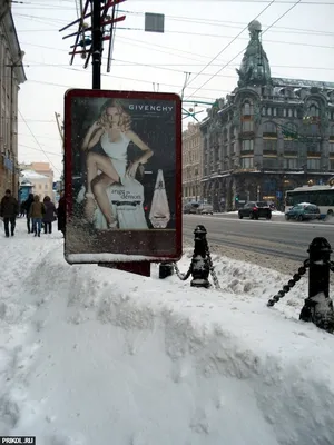 Снегопад в Петербурге: качественные обои на ваш выбор