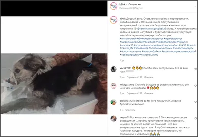 Архив новостей