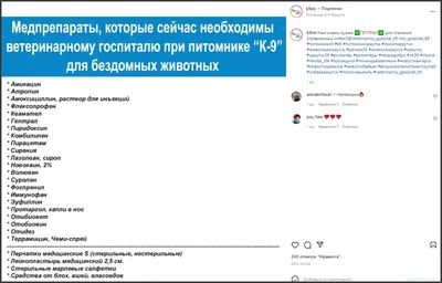 У «К-9» юбилей | 13.08.2020 | Новости Иркутска - БезФормата