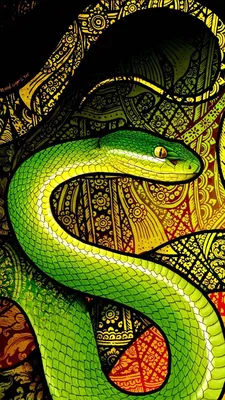 Картинки питона змея для использования в дизайне