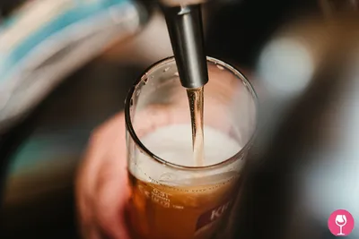 Вся правда про «пивной живот» — Pivo.by