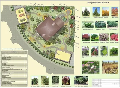 Схема-проект ландшафтного дизайна 2 | Дача-Драйв