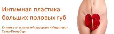 Сколько стоит лабиопластика больших половых губ в Петербурге?