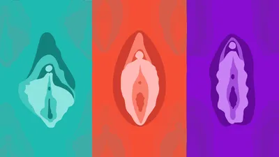 Пластика наружных половых органов | Адастра Днепр
