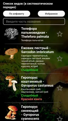 Эксперт назвал топ-3 опасных для жизни грибов - Газета.Ru | Новости