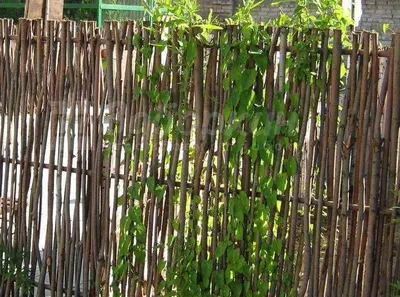 Австрийский забор (плетенка, плетеный забор) из доски ДПК | ЛАТИТУДО