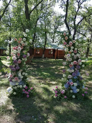 Плетистые розы в саду фото - Интернет-журнал Inhomes