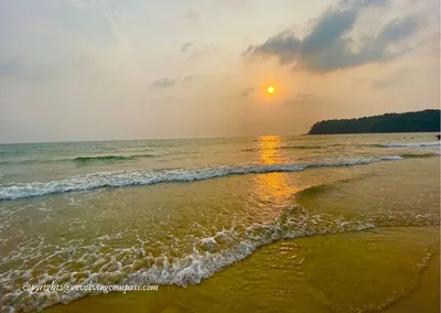 A guide to Agonda Beach South Goa - The most pristine beach of Goa - The  Revolving Compass