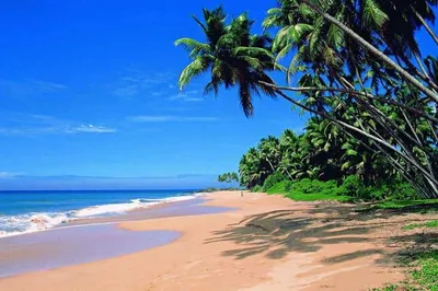 Пляж Агонда в Гоа в Индии - телеграм чат, отели, фитнес, цены