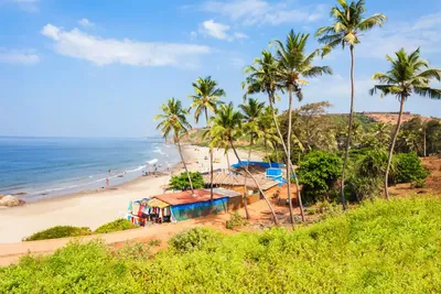 Agonda beach in Goa tops the list of Travellers' Choice Awards in Asia |  Times of India Travel