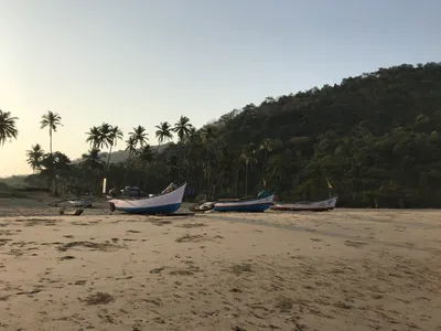 Royal Agonda Beach Resort, Agonda, Goa | WhatsHot Goa