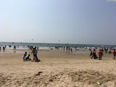 Пляж Бага на Гоа для настоящих тусовщиков