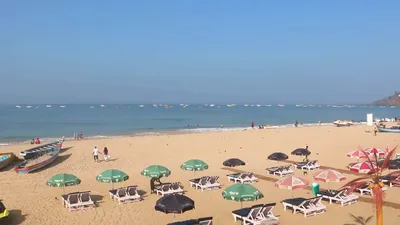 На пляжах Гоа туристы страдают от нашествия медуз - РИА Новости, 08.12.2020