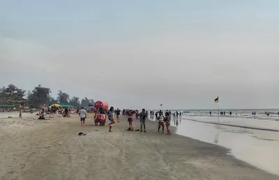 Индия, Гоа, пляж Бага - «Индия Гоа Пляж Бага - один из самых больших и  необычных плажей в Гоа. Фото, Видео!» | отзывы