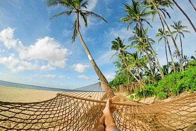 мапуса анджуна гоа индия. люди посещают пляж бага и отдыхают в солнечный  вечер под голубым небом. Редакционное Фотография - изображение  насчитывающей группа, солнечно: 220257157