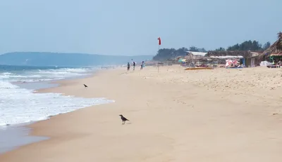 Отзыв о Пляж Бага (Индия, Гоа) | Бага - один из тусовочных пляжей ГОА.
