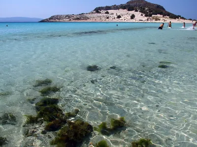 Элафониси - пляж с розовым песком на Крите | Иван Сусанин