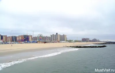Акула напала на женщину на пляже Rockaway в Нью-Йорке - ЯПлакалъ