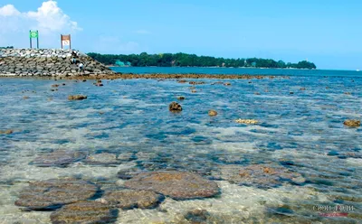 Palawan Beach, Остров Сентоза: лучшие советы перед посещением - Tripadvisor