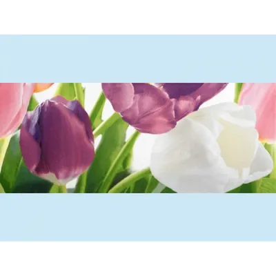Плитка Ялта Атем тюльпаны (46 фото)