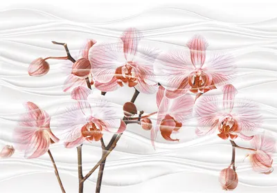 Плитка Linear Gardenia Orchidea(Италия)