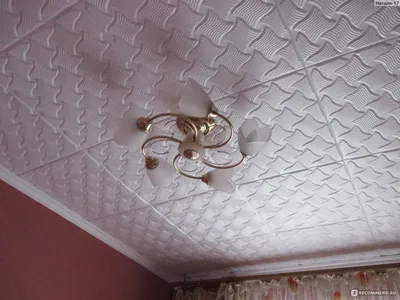 Плитка ПВХ Плитка потолочная бесшовная полистирол белая Формат Сириус 50 x  50 см 2 м 2 шт, белый купить по выгодной цене в интернет-магазине OZON  (963809033)