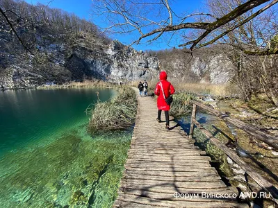национальный парк \"плитвицкие озера\" в хорватии зимой одно из самых  красивых мест в мире Стоковое Изображение - изображение насчитывающей  бобра, европа: 219690311