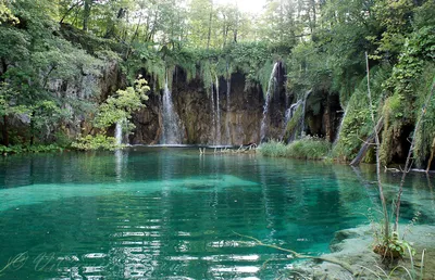 Национальные парки Европы - Плитвицкие озера, Хорватия Так что, возможно,  вы уже слышали об этом потрясающем национальном парке в Европе, но он  настолько прекрасен, что мы должны были добавить его в список!