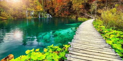 Плитвицкие озёра.Хорватия | Красоты Мира | Дзен