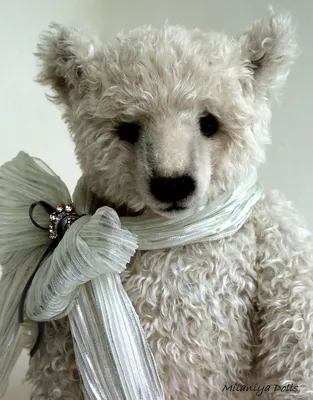 Красивые картинки плюшевых медведей для скачивания в png формате