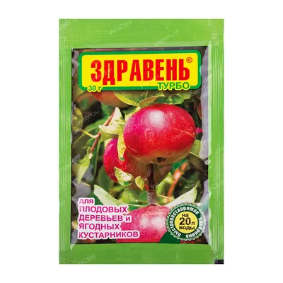 Как правильно посадить плодовые деревья на своём участке?