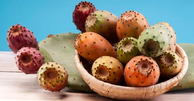 Съедобные плоды кактуса. :: Лия ☼ – Социальная сеть ФотоКто
